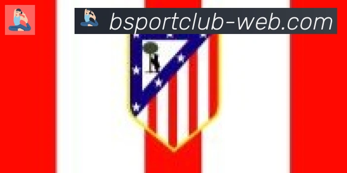 Bsports官网合作伙伴
